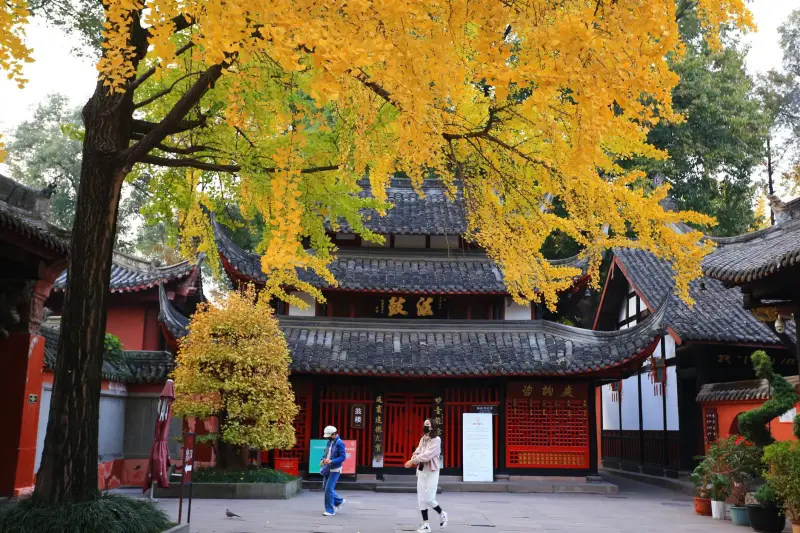 济宁工程机械装载机在建筑工地的高效施工应用分析